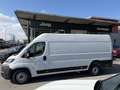 Fiat Ducato MAXI Kastenwagen L4H2 Automatik Weiß - thumbnail 3