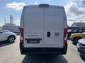 Fiat Ducato MAXI Kastenwagen L4H2 Automatik Weiß - thumbnail 5