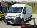 Fiat Ducato MAXI Kastenwagen L4H2 Automatik Weiß - thumbnail 1