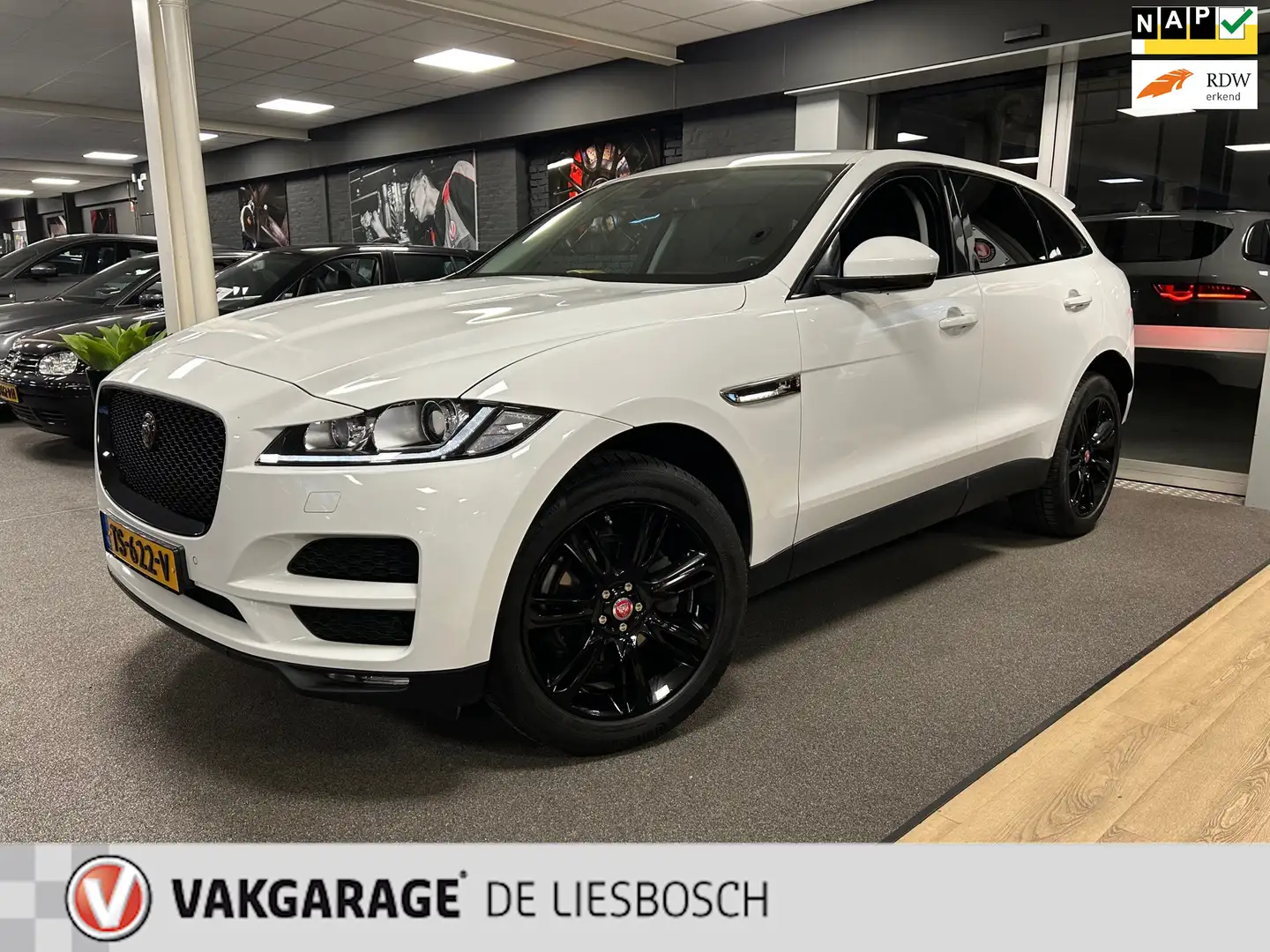 Jaguar F-Pace 2.0 Prestige AWD 25t / leder / navigatie / camera Blanco - 1