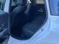 Mercedes-Benz B 200 Progressive AHK Multibeam Rückfahrkamera Alb - thumbnail 13