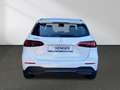 Mercedes-Benz B 200 Progressive AHK Multibeam Rückfahrkamera Alb - thumbnail 6