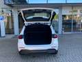 Mercedes-Benz B 200 Progressive AHK Multibeam Rückfahrkamera Alb - thumbnail 15