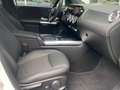Mercedes-Benz B 200 Progressive AHK Multibeam Rückfahrkamera Wit - thumbnail 12