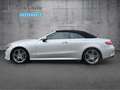 Mercedes-Benz E 220 E 220 d Cabrio AMG+LEDER+DISTRO+KAM+AIRCAP/SCARF Zilver - thumbnail 8