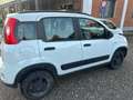Fiat Panda Panda 0.9 t.air t.  4x4  PREZZO REALE Bianco - thumbnail 7