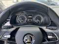 Skoda Kamiq Kamiq 1.0 g-tec Style 90cv Grau - thumbnail 20