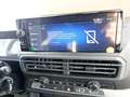 Opel Vivaro Cargo dig.Cockpit,AHK,Holzboden,AppCon. Alb - thumbnail 13