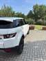 Land Rover Range Rover Evoque 5p 2.2 td4 Pure 150cv - thumbnail 8