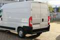 Opel Movano 140 Kasten L2H2 3,5t Edition Standheizung D Weiß - thumbnail 4