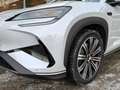 BYD Sealion 7 Excellence AWD 360°-Kamera Head-Up LED Grau - thumbnail 6