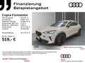 CUPRA Formentor 2.5 TSI 4D VZ5 Edt.Taiga Grey DSG Gris - thumbnail 1