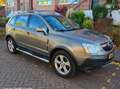 Opel Antara Antara 2.4-16V Enjoy Beige - thumbnail 11