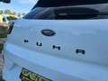 Ford Puma 1.0 EcoBoost 125cv ST-Line MHEV Blanco - thumbnail 12
