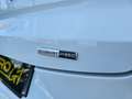Ford Puma 1.0 EcoBoost 125cv ST-Line MHEV Blanco - thumbnail 11