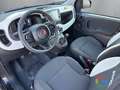 Fiat Panda Pandina Cross 1.0 Hybrid - PROMO/IVA ESP. - thumbnail 8
