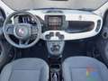 Fiat Panda Pandina Cross 1.0 Hybrid - PROMO/IVA ESP. - thumbnail 9