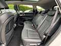 Kia Sorento 1.6 T-GDi aut. AWD HEV Evolution Blanc - thumbnail 12