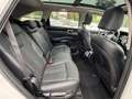 Kia Sorento 1.6 T-GDi aut. AWD HEV Evolution Bílá - thumbnail 13