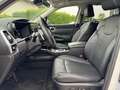 Kia Sorento 1.6 T-GDi aut. AWD HEV Evolution Bílá - thumbnail 11