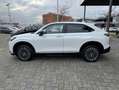 Honda e:Ny1 Advance|Leder|Pano|1.Hand|Garantie|TOP Білий - thumbnail 9