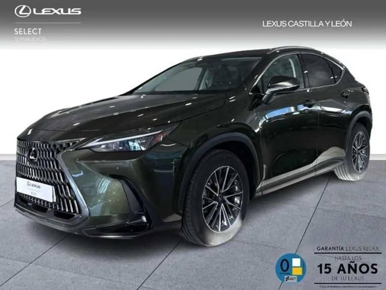 Lexus NX 450h+