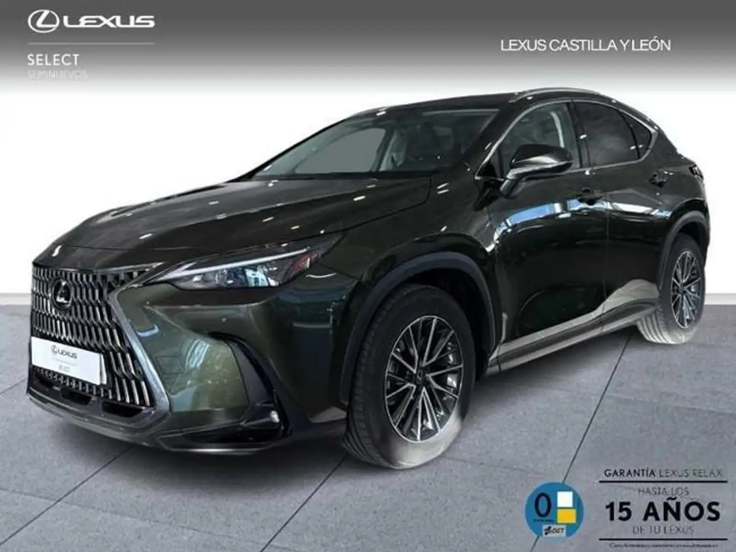 Lexus NX 450h+ 4WD PREMIUM+ Verde - 1