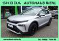 Skoda Elroq 50 Tour Studio *Navi*PDCkamera*ACautomatic* Срібний - thumbnail 1