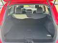 Renault Kadjar Collection/Navi/PDC/Kamera Rot - thumbnail 7