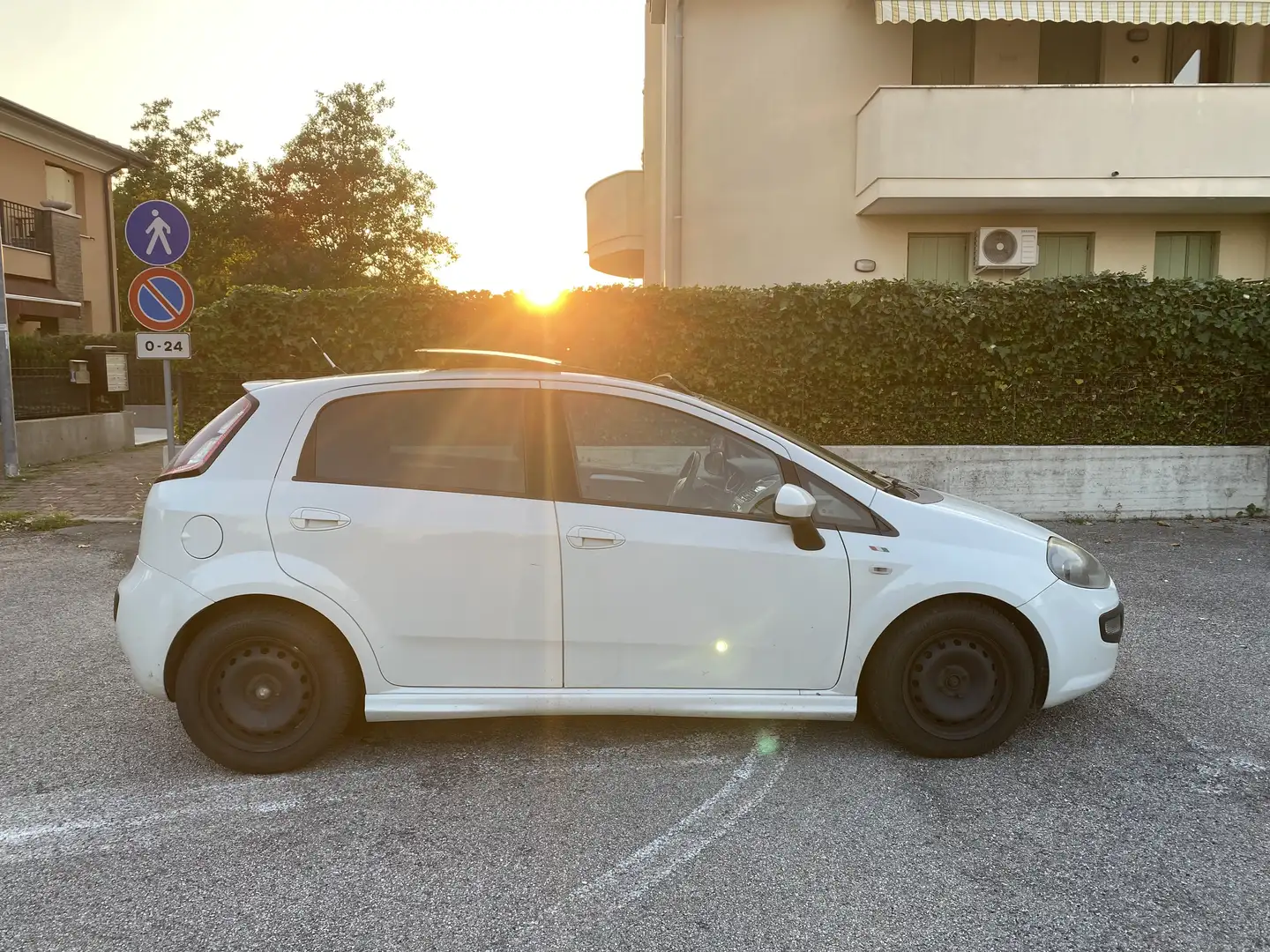 Fiat Punto Evo 5p 1.6 mjt Sport s&s 120cv - 2