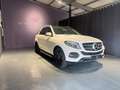 Mercedes-Benz GLE 350 GLE 4Matic / Pano / Leder / AHK Blanc - thumbnail 2