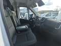 Peugeot Boxer Kasten Hochraum 2.2 BlueHDi FAP L 3.5t 335 2 Weiß - thumbnail 7