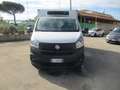 Fiat Talento 1.6 125CV E6 FRIGO FRCX -20° 08/2027 TAGLIANDAT Blanc - thumbnail 2
