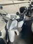 Piaggio Sonstige Liberty - thumbnail 2
