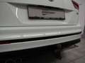 Volkswagen Tiguan Sky TDI SCR 4MOTION DSG Weiß - thumbnail 17