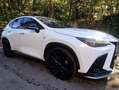 Lexus NX 450h+ NX II 2022 450h+ 2.5 phev F-Sport 4wd 309cv e-cvt Bianco - thumbnail 1