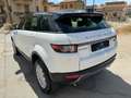 Land Rover Range Rover Evoque EVOQUE 2.0 TD4 150 SPORT SOLO 15.000 KM REALI Bianco - thumbnail 8