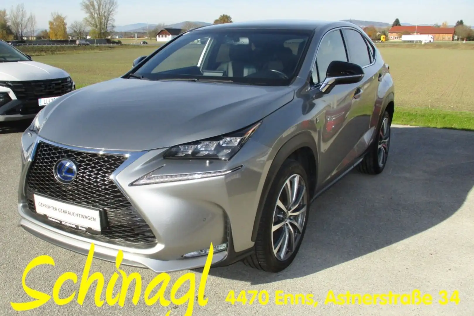 Lexus NX 300h 4 WD F-Sport Hybrid AT Gris - 1