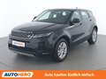 Land Rover Range Rover Evoque D150 Mild-Hybrid S Schwarz - thumbnail 1