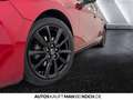 Mazda 3 5HB 2.5L 140ps 6AT FWD Homura ACC HUD Bluetooth Rot - thumbnail 15