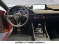 Mazda 3 5HB 2.5L 140ps 6AT FWD Homura ACC HUD Bluetooth Rot - thumbnail 8