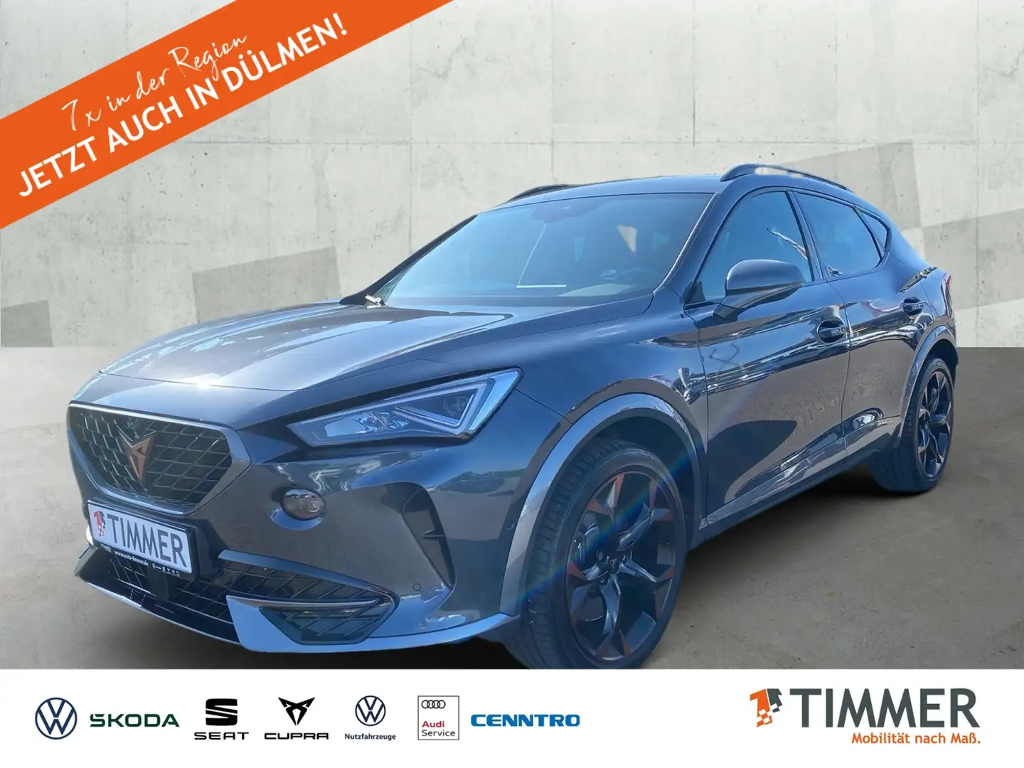 CUPRA Formentor 2.0 DSG 4x4 VZ *LED *360° *ACC *NAVI *SHZ *CLIMA Grau - 1