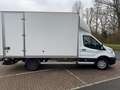 Ford Transit bakwagen Weiß - thumbnail 5