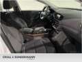 Hyundai IONIQ Elektro Trend SOH:95% Navi LM Räder NAVI Beyaz - thumbnail 14
