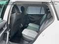 Skoda Octavia Combi 1.5 TSI 150 PS Selection Weiß - thumbnail 10