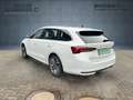 Skoda Octavia Combi 1.5 TSI 150 PS Selection Weiß - thumbnail 4