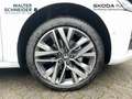 Skoda Octavia Combi 1.5 TSI 150 PS Selection Weiß - thumbnail 7