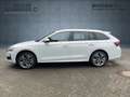 Skoda Octavia Combi 1.5 TSI 150 PS Selection Weiß - thumbnail 3