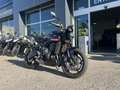 Triumph Trident 660 - thumbnail 2