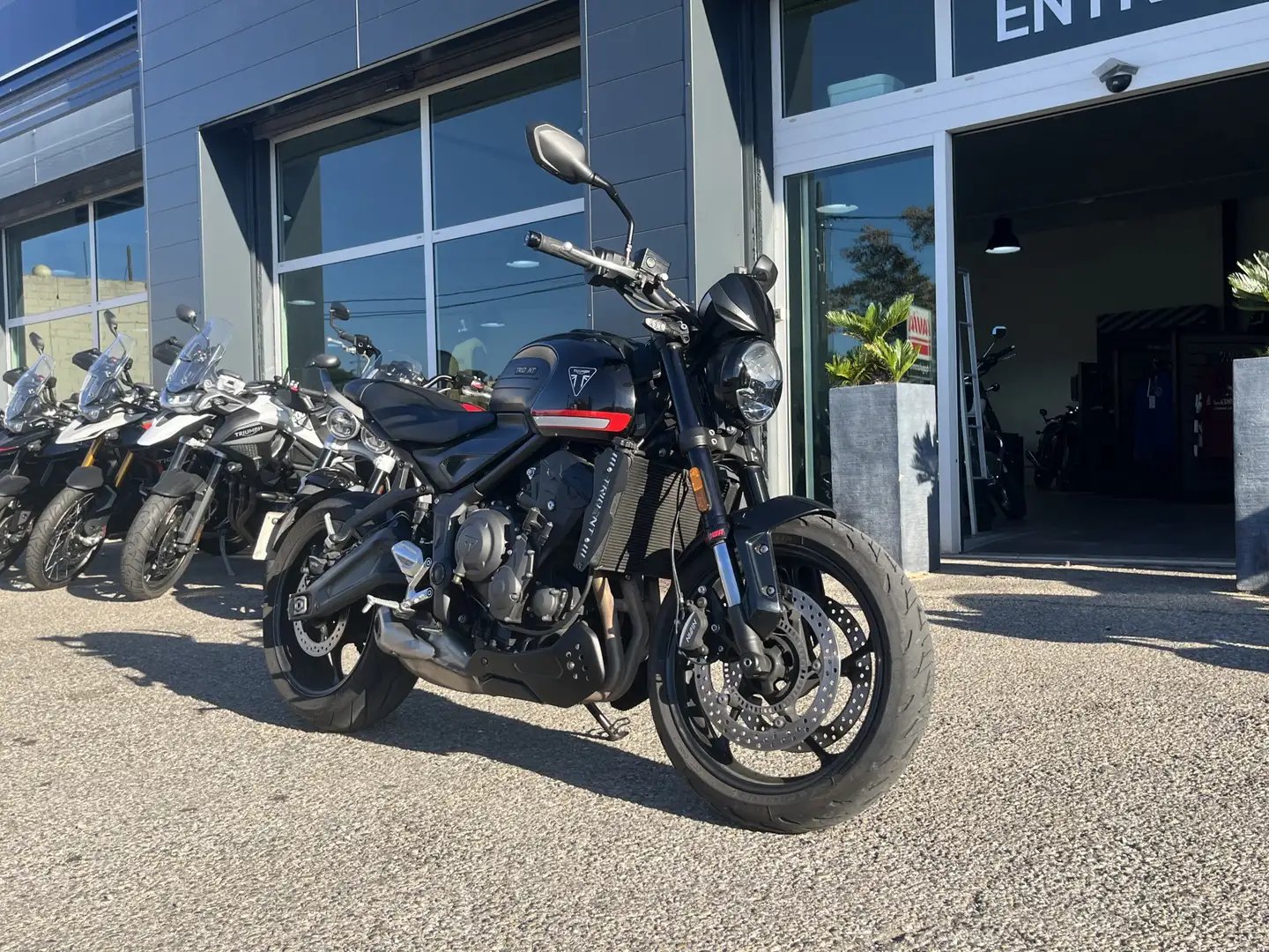 Triumph Trident 660 - 2
